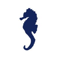 Das Logo der PANAREA Studios ist ein blaues Seepferdchen.
