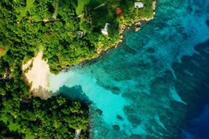 Einzigartige Natur, fantastische Strände: Jamaika 2024