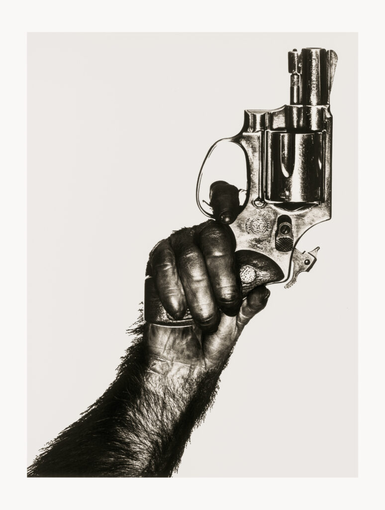 Albert Watson: Monkey With Gun, New York, 1992 (Foto: TASCHEN Verlag/Albert Watson)