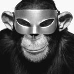 Albert Watson: Monkey With Mask, New York, 1992 (Foto: TASCHEN Verlag/Albert Watson)