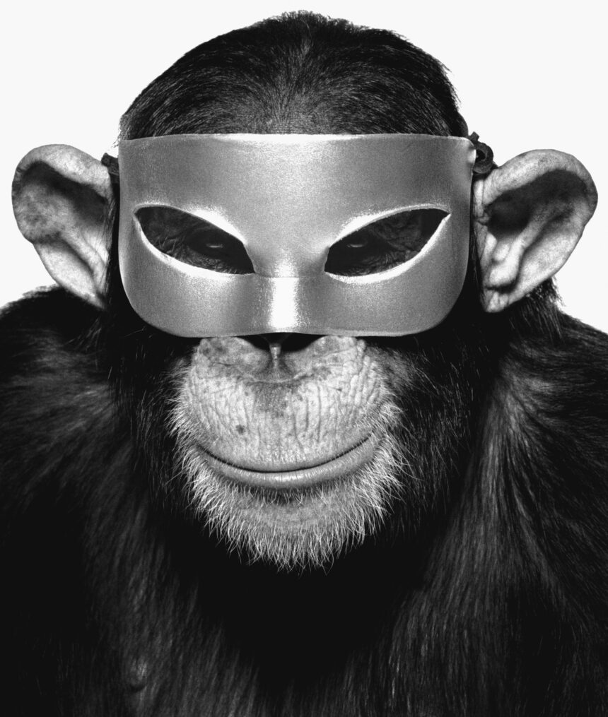 Albert Watson: Monkey With Mask, New York, 1992 (Foto: TASCHEN Verlag/Albert Watson)