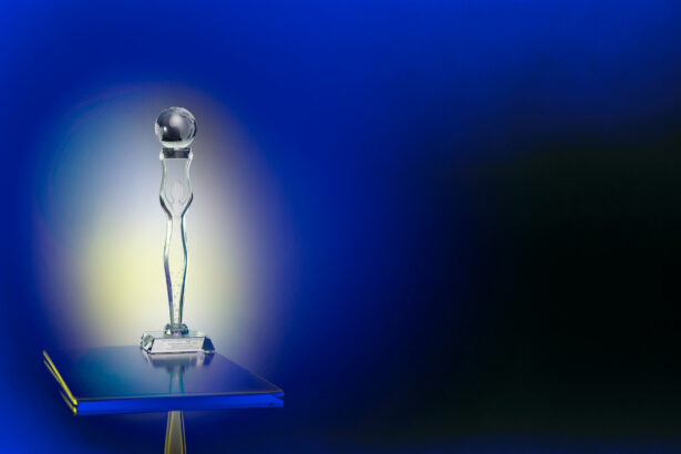 Der Jane Award, der im Rahmen des CALL Film Festivals von nun an jährlich verliehen wird, designt von JOSKA Bodenmais