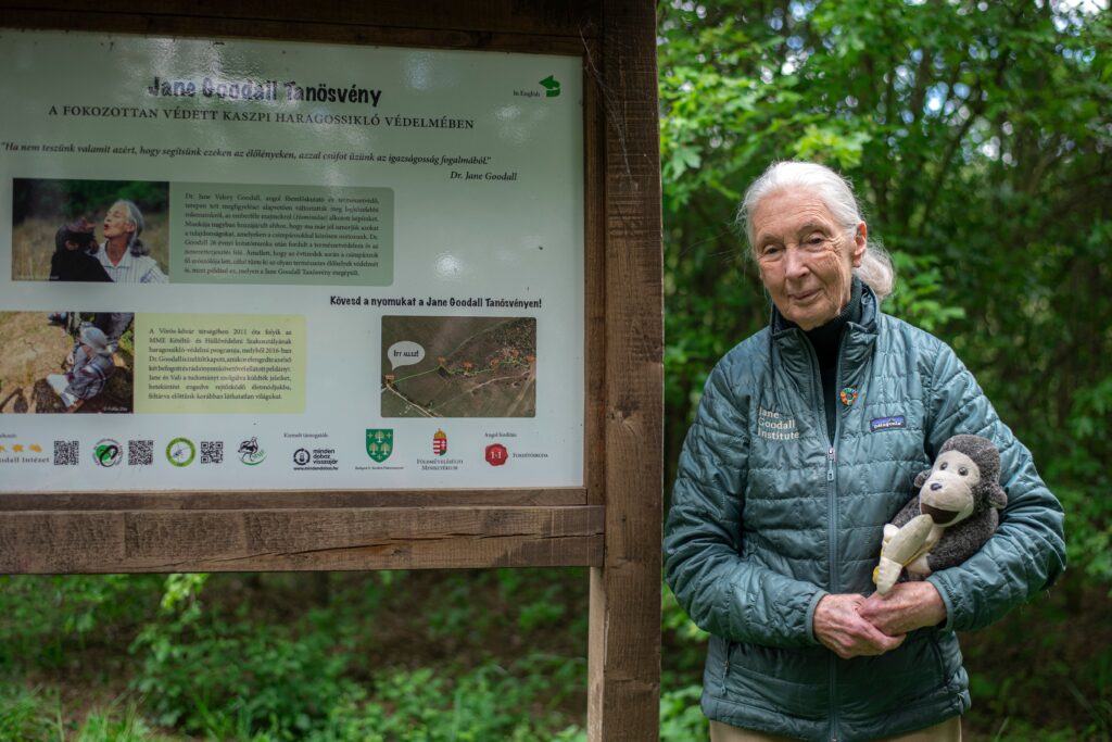 Lebenslanger Einsatz für Tiere, die Natur und unseren Planeten: Jane Goodall (Foto: Shutterstock)